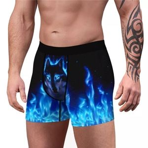 New 3D Men Underwear Underpants Sexy Boxers